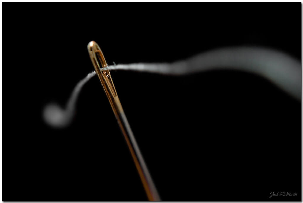 Juan Ramón Martos - needle and thread macro