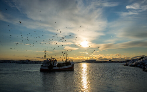 fishing-boats-photography