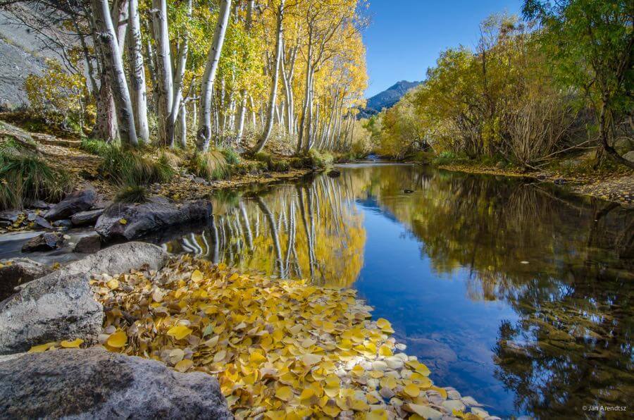 Jan Arendtsz - Aspen Reflections