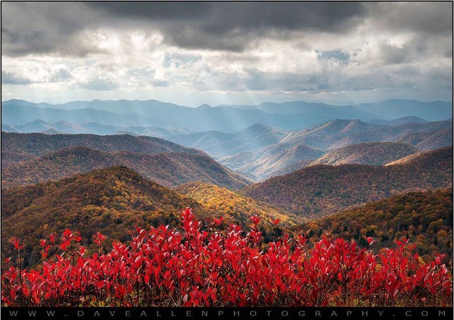 Dave Allen Photography - Blue Ridge Parkway Fall Foliage NC - The Light