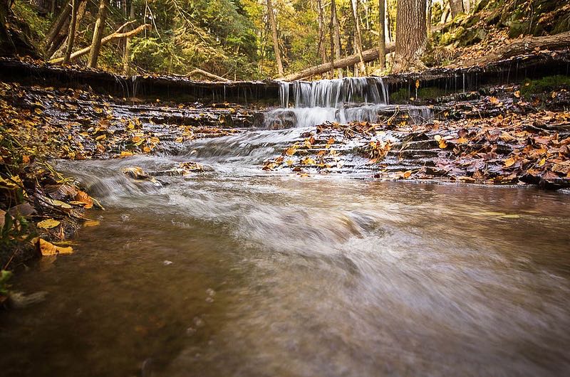 Joe - Letchworth Mini Falls