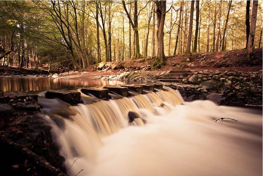 (Flixelpix) David - Stepping Stones in Autumn