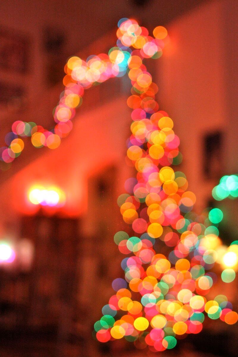 christmas tree bokeh