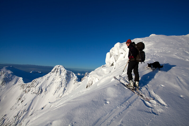 skier with dog on top of a mountain