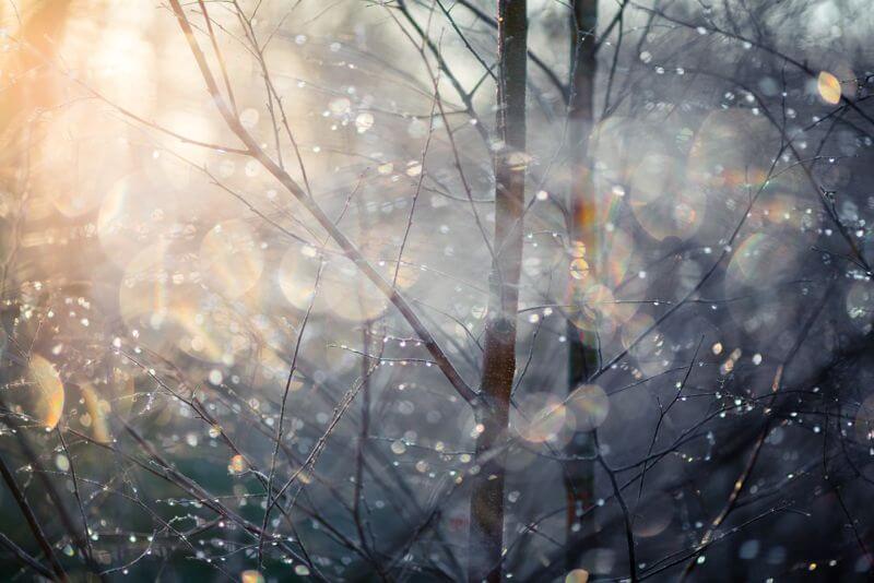 Beautiful Photos of Trees and Woodlands by Matthew Dartford - The Photo ...