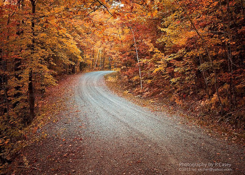 empty road autumn