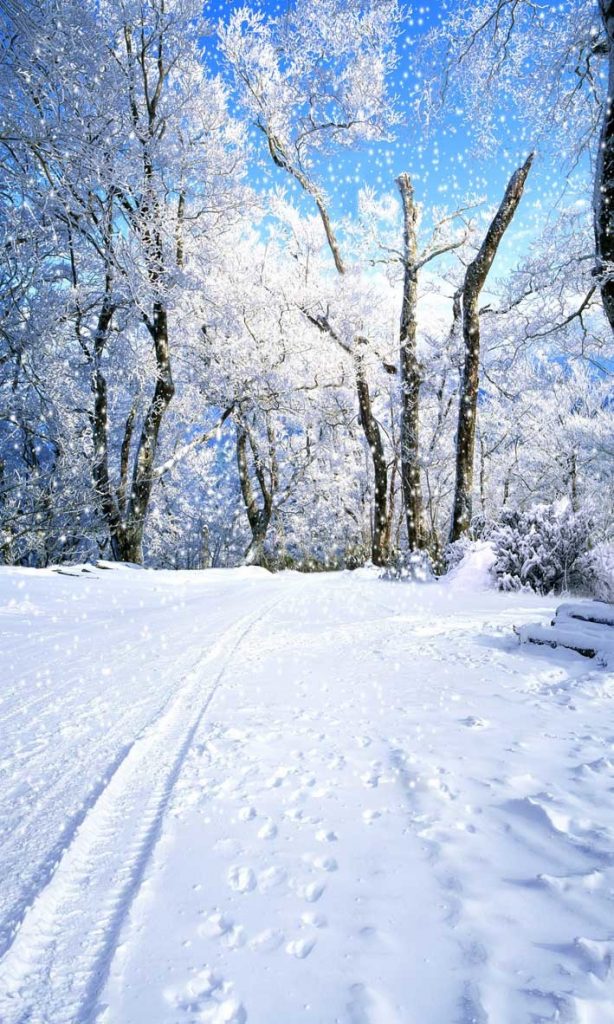 snowy road backdrop