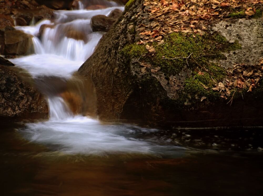 Steve Corey - Tenaya Creek