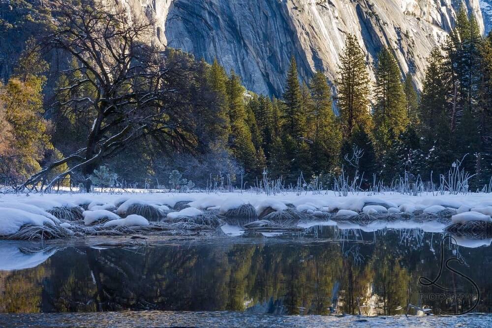 LotsaSmiles Photography - Yosemite