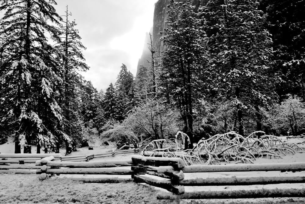 chris.murphy - Yosemite in Winter