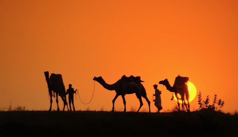 Pushkar Camel Fair