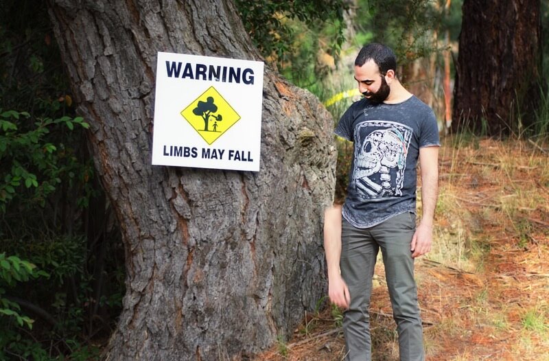 warning limbs may fall