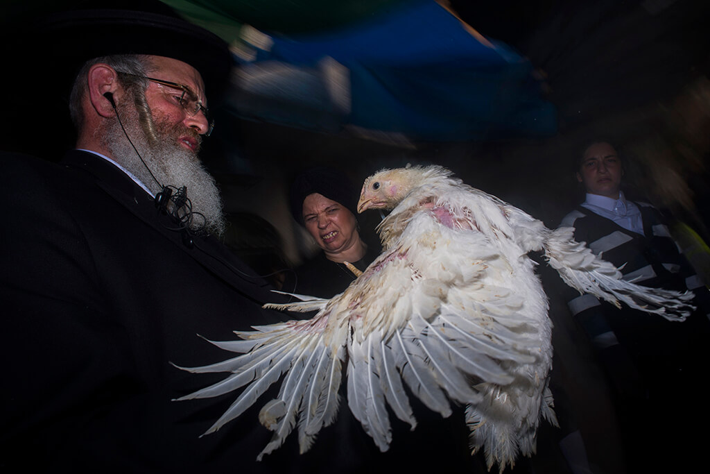 ilan Ben yehuda kapparot