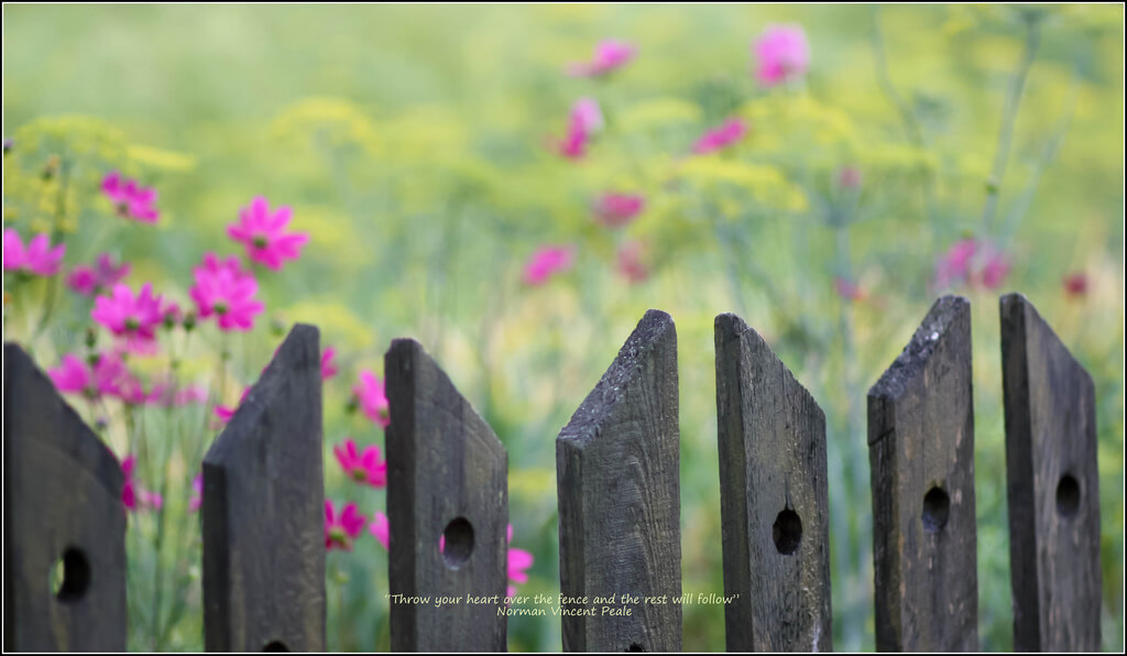 Ana Lukascuk fence