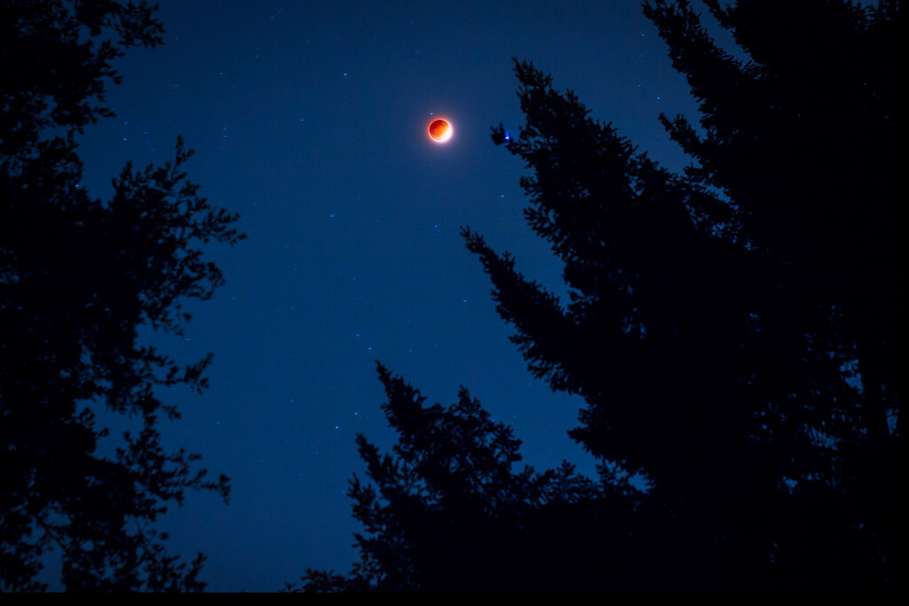 Daniel Sabsay - Blood Moon; April 15, 2014