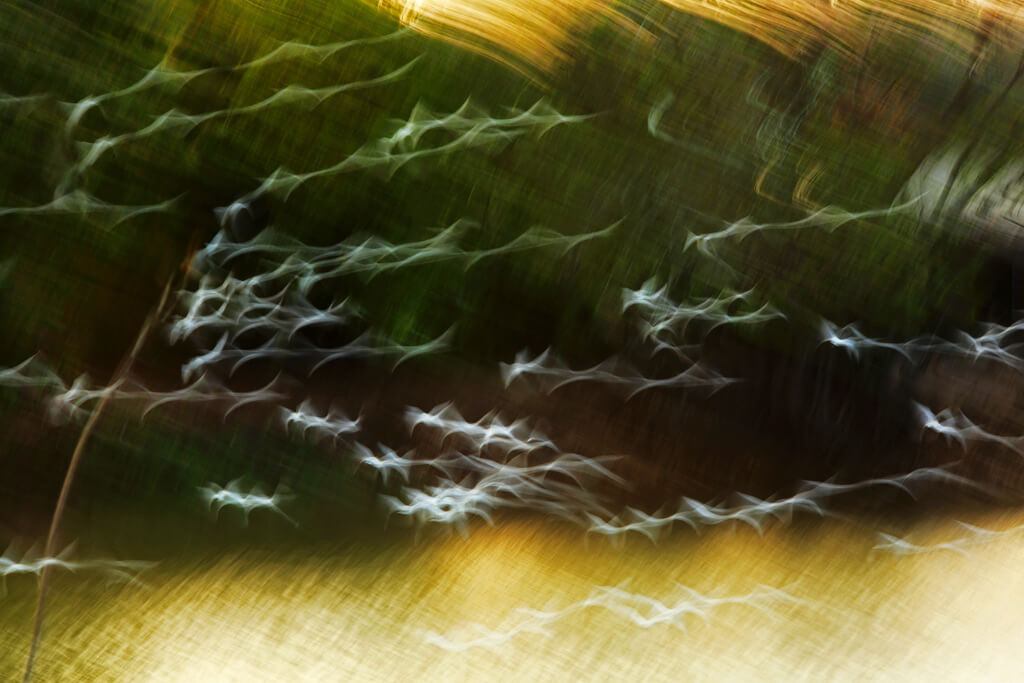 swapnil deshpande - intentional camera movement