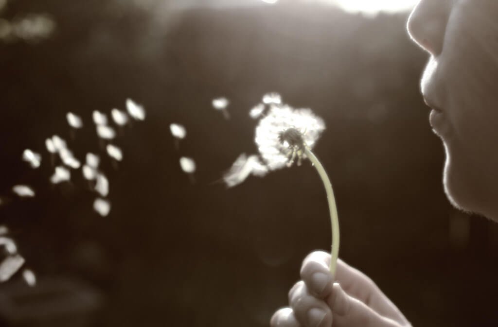 Robert Couse-Baker - blowing dandelion