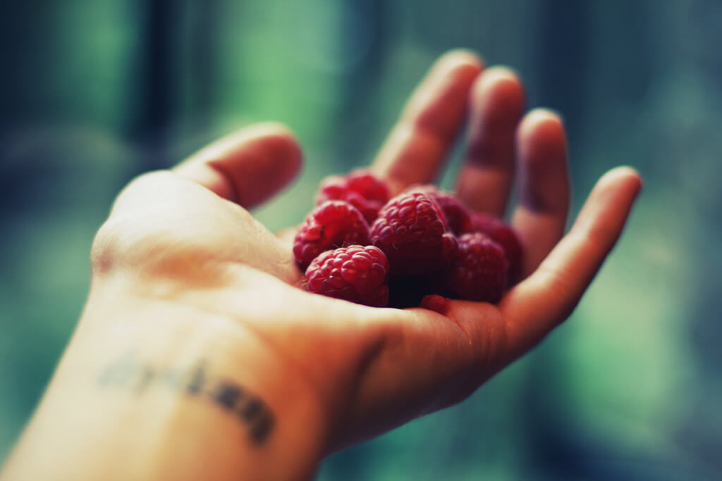 Chiara Cremaschi bokeh raspberries