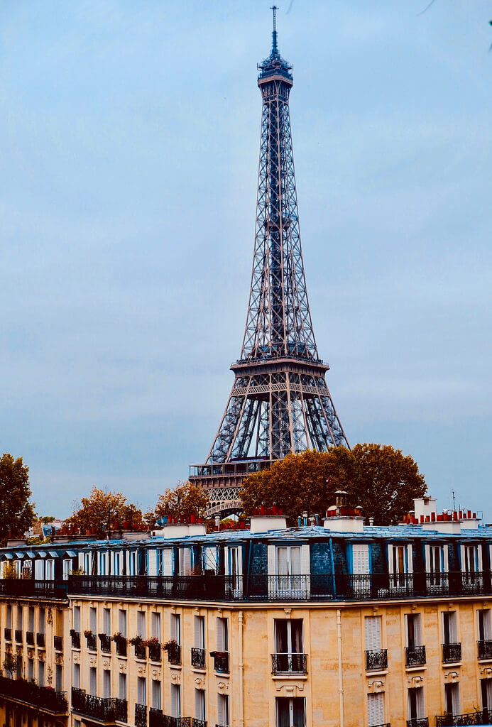 joanne clifford - Windows on Paris