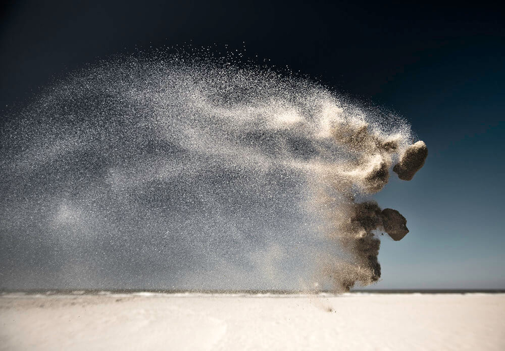 Sand Creatures II - Dog