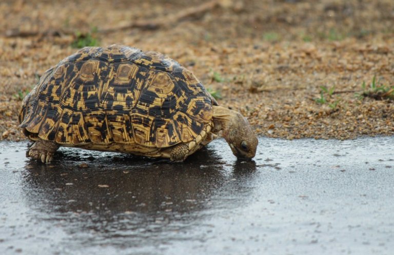 50 Wonderful Photographs of Rain - The Photo Argus