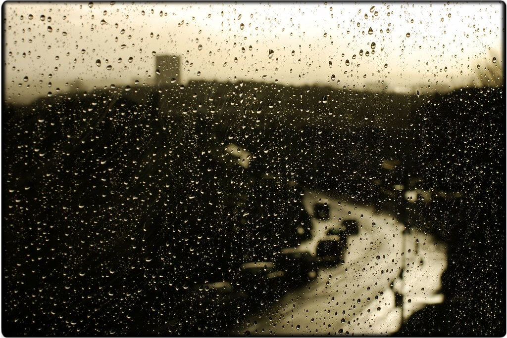 Mayastar Lavi - black and white rain window