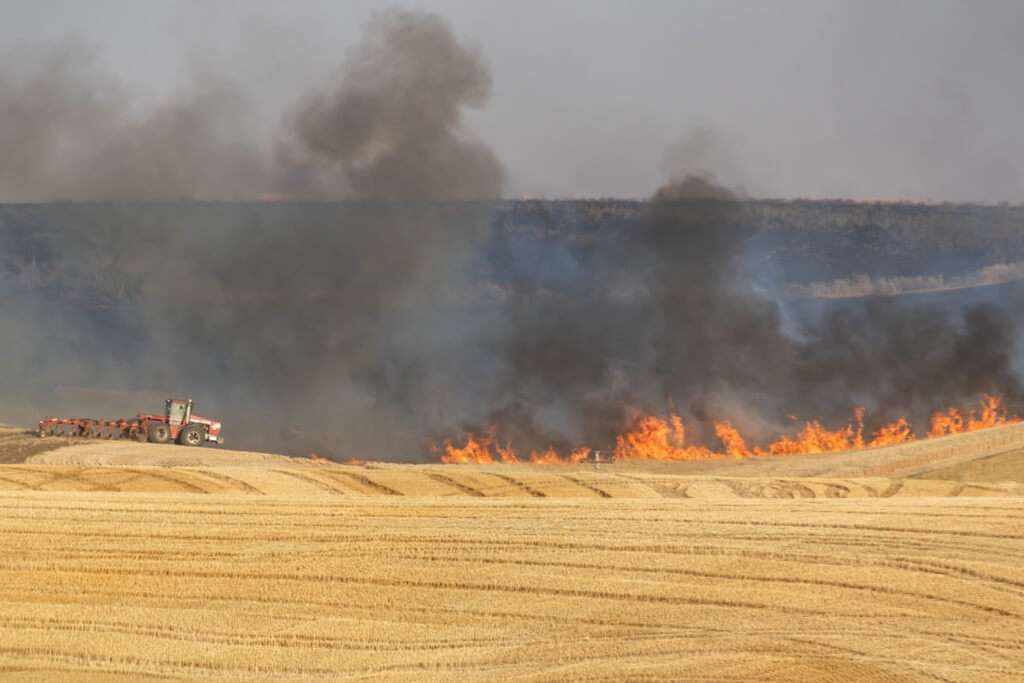 Fred Doerfler - Wildfire on the Palouse #5