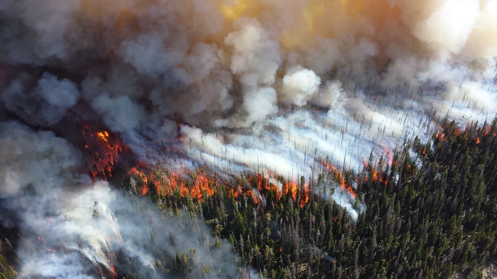 NPS Climate Change Response - Wildfire