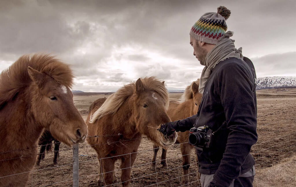 Fernando - feeding horses