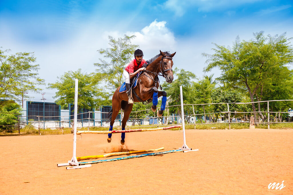 Vijai Balaiah - Polo and Riding Club, Kelambakkam, Tamilnadu, India