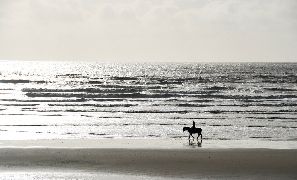 Richard Watkins LRPS - Camber Sands