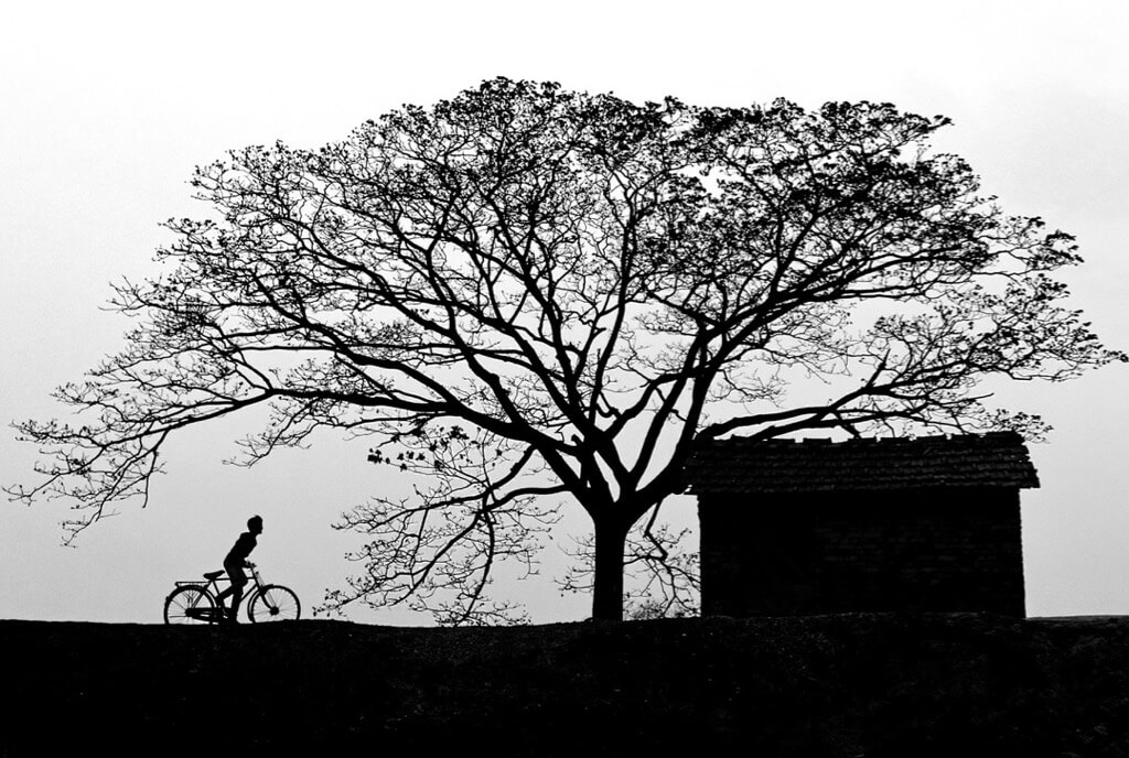 Chinmoy Biswas - Bicycle