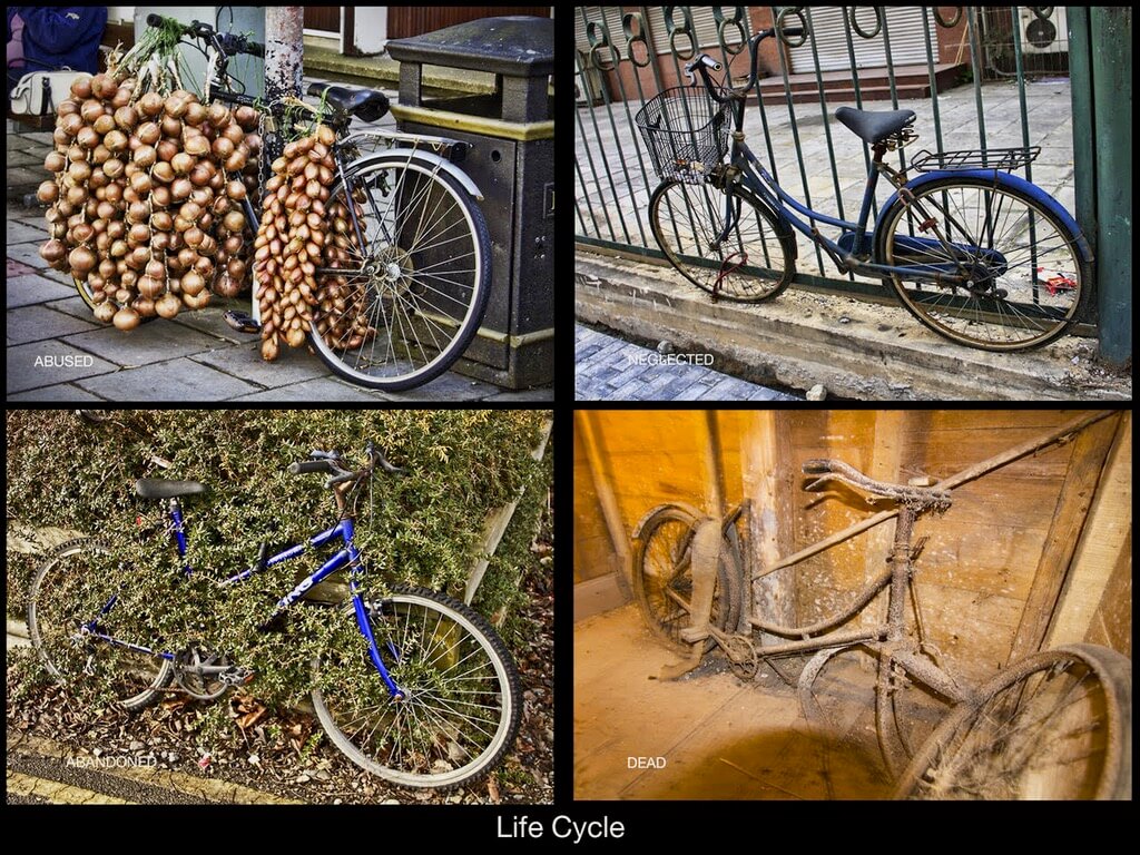 Michael Hawley - Life Cycle of Bicycles