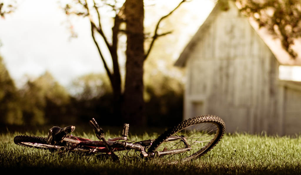 Sharon W - bicycle on grass