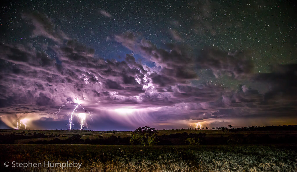 Stephen Humpleby - Avondale Discovery Farm Lightning