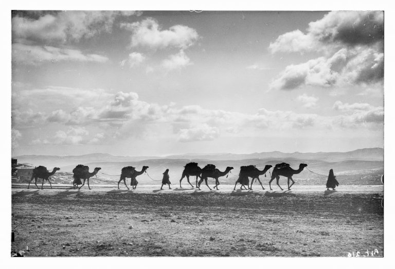 Striking Photos of Bedouins by the American Colony - The Photo Argus