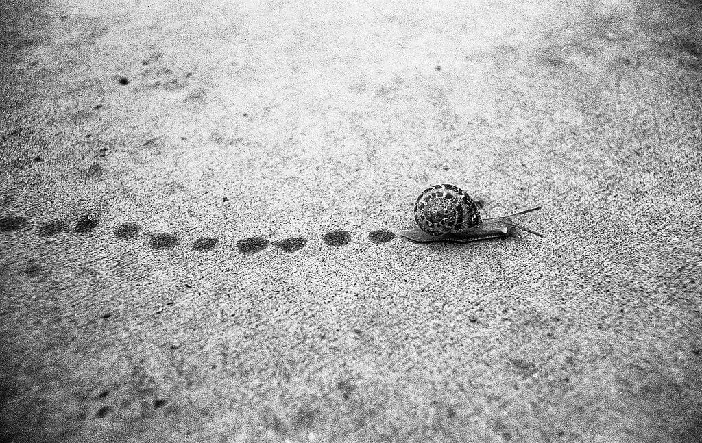 Michael VH - Making Snail Tracks