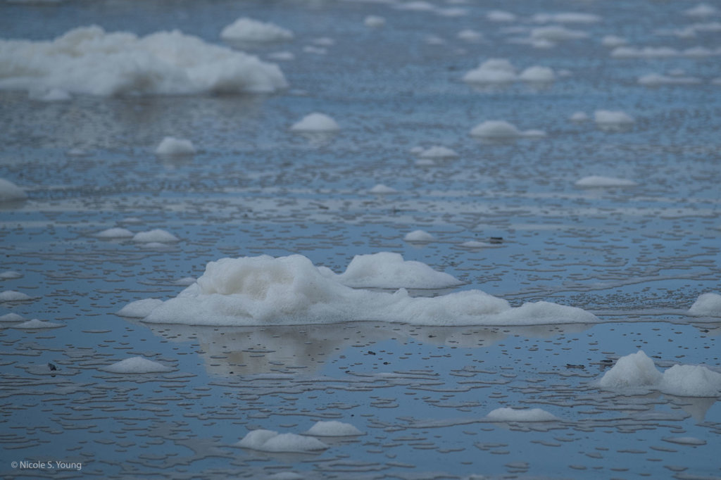 ice floats in water before