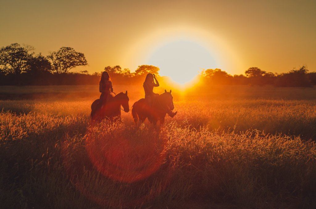 Sunset horse ride for best time to take photos outside