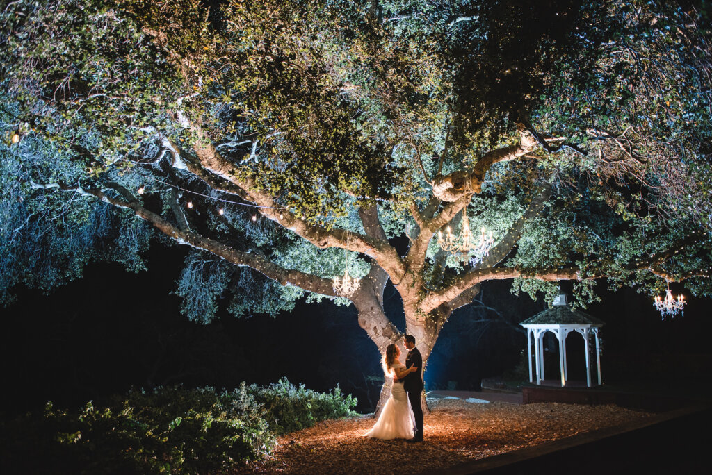 wedding photography couple in front of tree