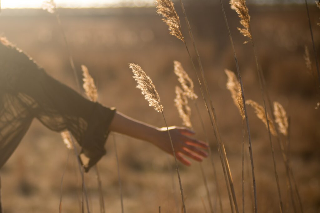 The Golden Hour: Capturing the Magic of Dawn and Dusk